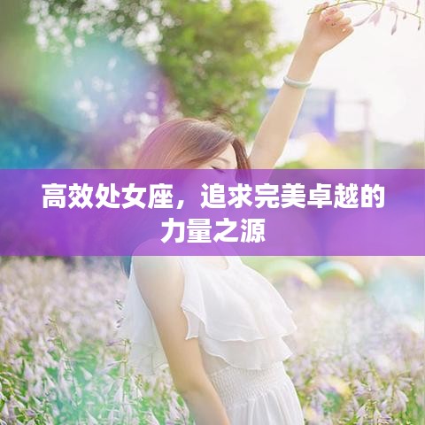 高效处女座，追求完美卓越的力量之源