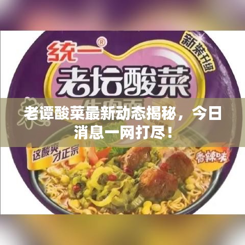 老谭酸菜最新动态揭秘，今日消息一网打尽！