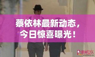 蔡依林最新动态，今日惊喜曝光！