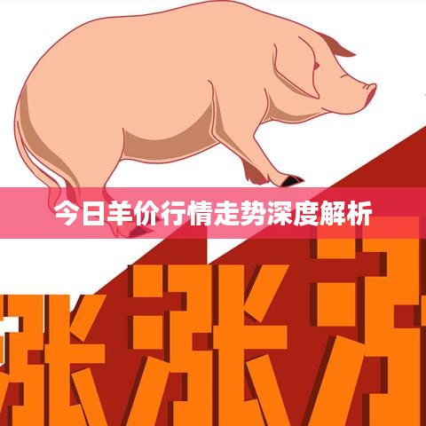 今日羊价行情走势深度解析
