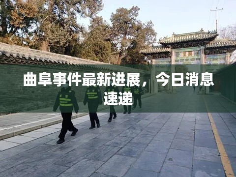 夯雀儿先飞