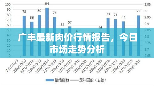 广丰最新肉价行情报告，今日市场走势分析