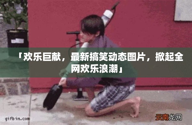 「欢乐巨献，最新搞笑动态图片，掀起全网欢乐浪潮」