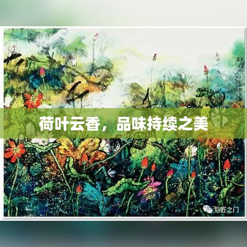 荷叶云香，品味持续之美
