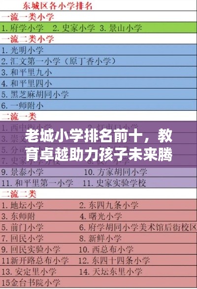 老城小学排名前十，教育卓越助力孩子未来腾飞