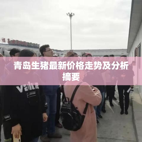 青岛生猪最新价格走势及分析摘要