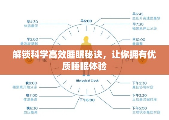 解锁科学高效睡眠秘诀，让你拥有优质睡眠体验