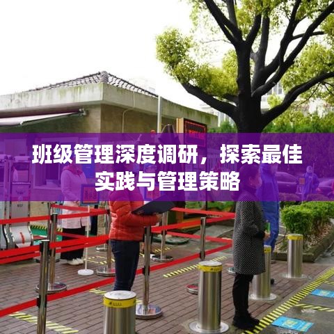 班级管理深度调研，探索最佳实践与管理策略