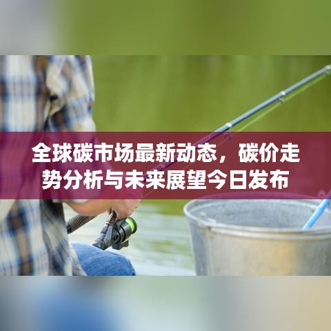全球碳市场最新动态，碳价走势分析与未来展望今日发布