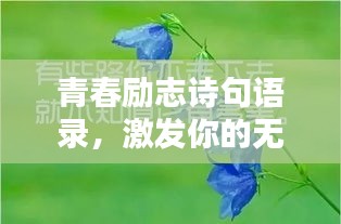 青春励志诗句语录，激发你的无限潜能