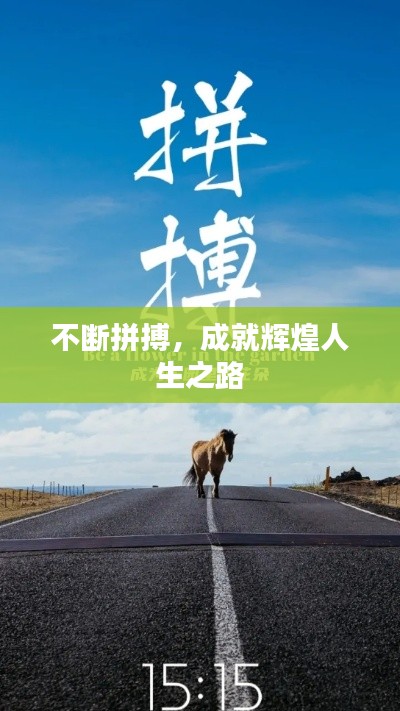 不断拼搏，成就辉煌人生之路