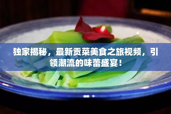独家揭秘，最新贡菜美食之旅视频，引领潮流的味蕾盛宴！