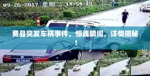 费县突发车祸事件，惊魂瞬间，详情揭秘！