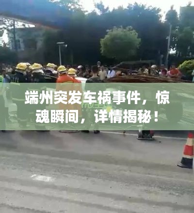 如翚斯飞
