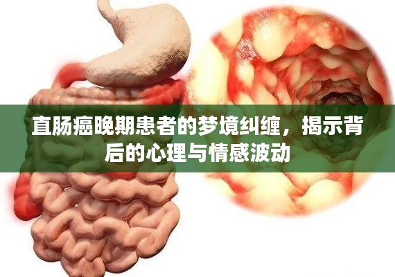 勤勤恳恳