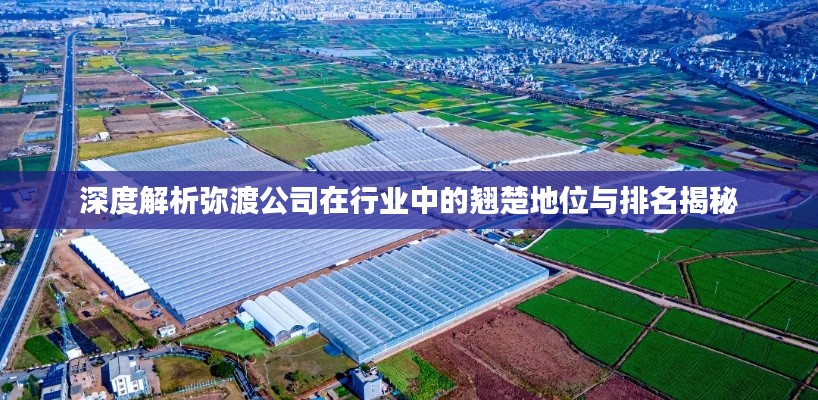 蝇声蛙噪