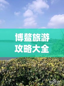 为民请命