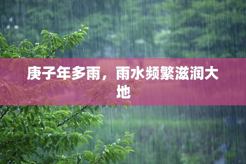 庚子年多雨，雨水频繁滋润大地