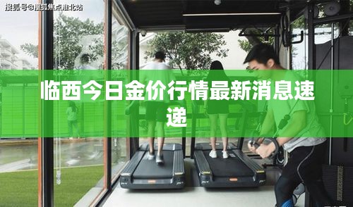 临西今日金价行情最新消息速递