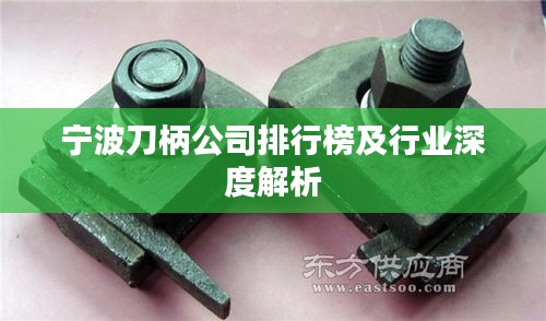 宁波刀柄公司排行榜及行业深度解析