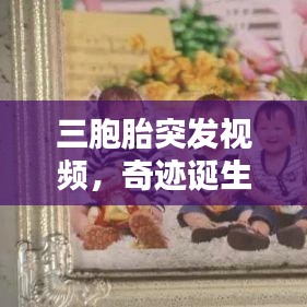 三胞胎突发视频，奇迹诞生引社会广泛关注