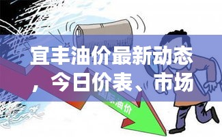 宜丰油价最新动态，今日价表、市场走势及影响因素深度解析