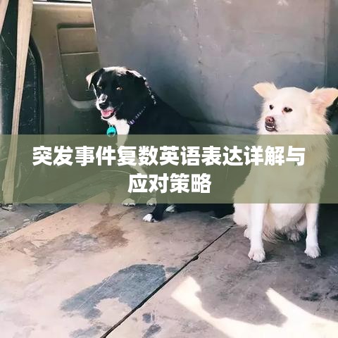 突发事件复数英语表达详解与应对策略