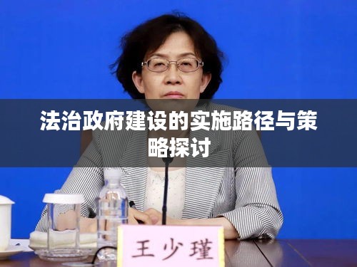 法治政府建设的实施路径与策略探讨