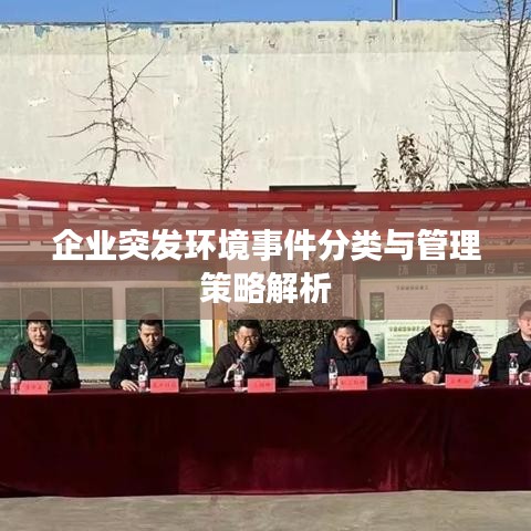 企业突发环境事件分类与管理策略解析