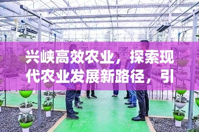 兴峡高效农业，探索现代农业发展新路径，引领产业革新！