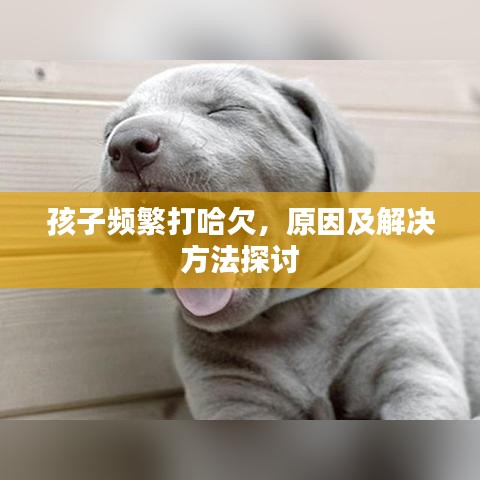孩子频繁打哈欠，原因及解决方法探讨
