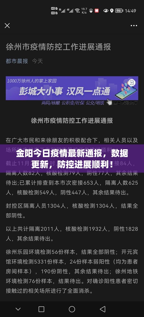 金阳今日疫情最新通报，数据更新，防控进展顺利！