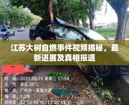 飞流直下