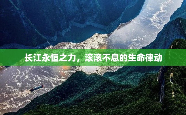 长江永恒之力，滚滚不息的生命律动