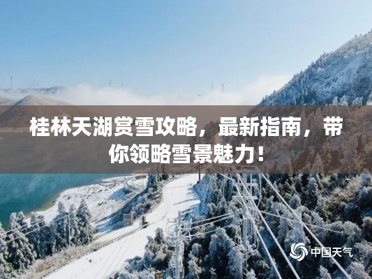 桂林天湖赏雪攻略，最新指南，带你领略雪景魅力！