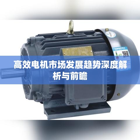 高效电机市场发展趋势深度解析与前瞻