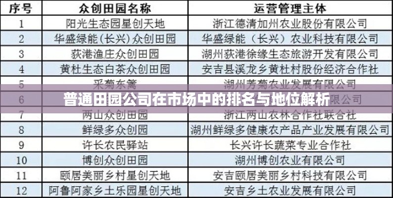 普通田园公司在市场中的排名与地位解析