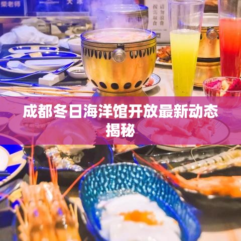 成都冬日海洋馆开放最新动态揭秘