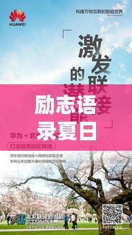 励志语录夏日炎炎，激发无限潜能！