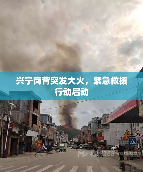 兴宁岗背突发大火，紧急救援行动启动