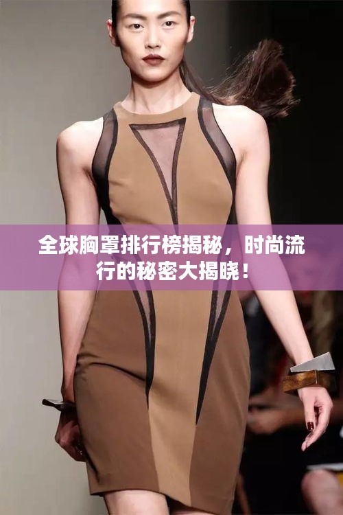 全球胸罩排行榜揭秘，时尚流行的秘密大揭晓！