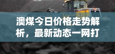 长命富贵