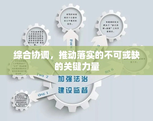 综合协调，推动落实的不可或缺的关键力量