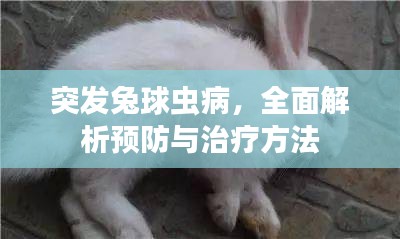 就棍打腿