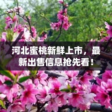 环肥燕瘦
