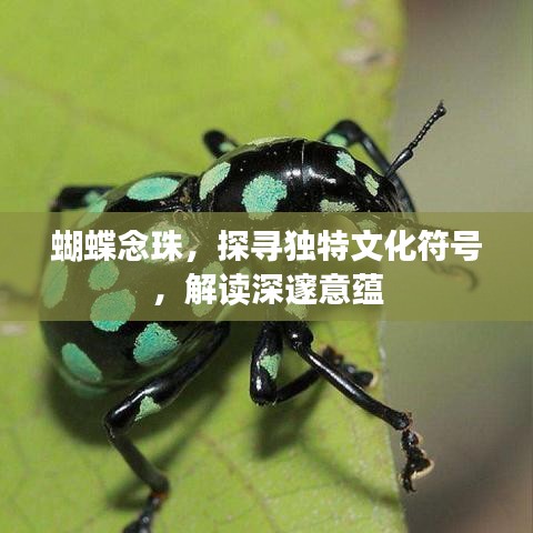 蝴蝶念珠，探寻独特文化符号，解读深邃意蕴