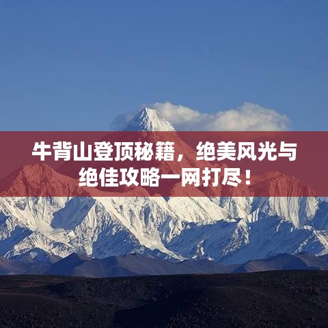 堂堂正正