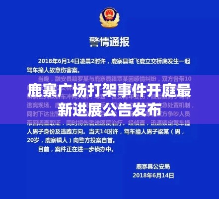 鹿寨广场打架事件开庭最新进展公告发布
