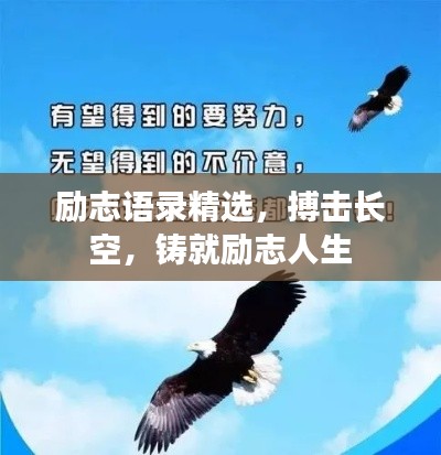 衣不重采