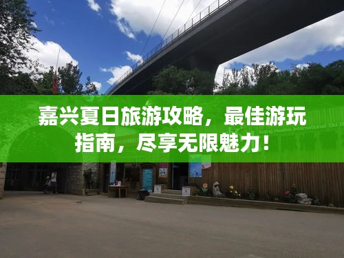 嘉兴夏日旅游攻略，最佳游玩指南，尽享无限魅力！